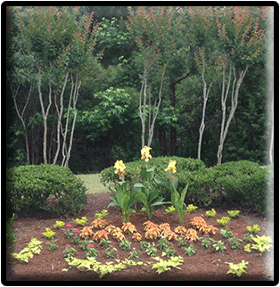Commercial landscaping installation crew 3
