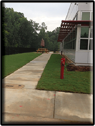 Commercial landscape installation after image 2