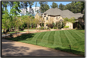 Landscape and Lawn Maintenance
